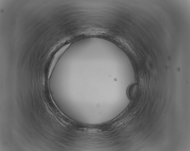 X0000083610539200703121605