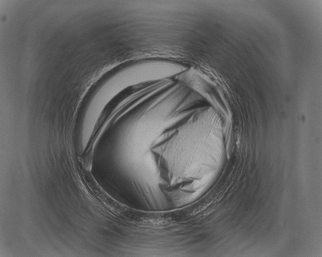 X0000083610540200703121605