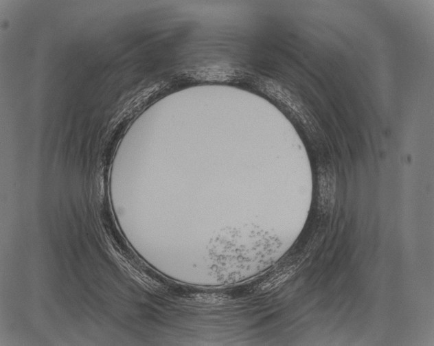 X0000083610541200703121605