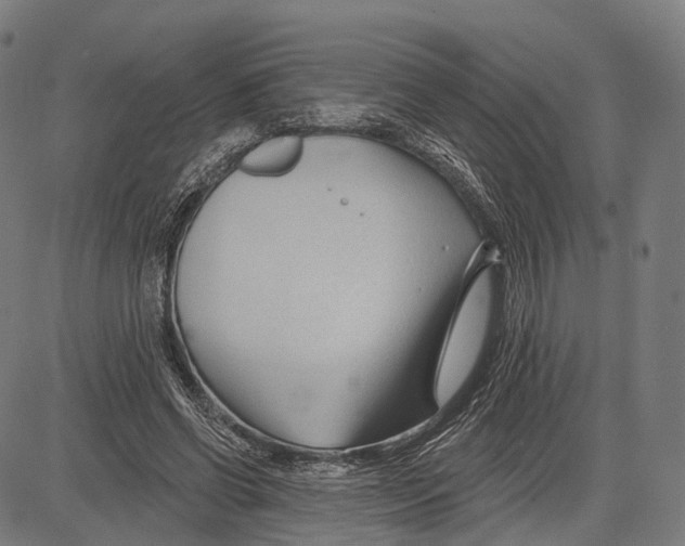 X0000083610542200703121605