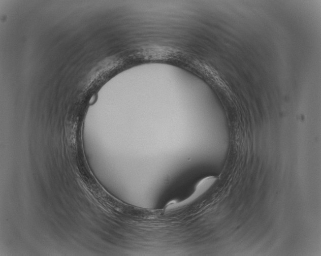 X0000083610543200703121605