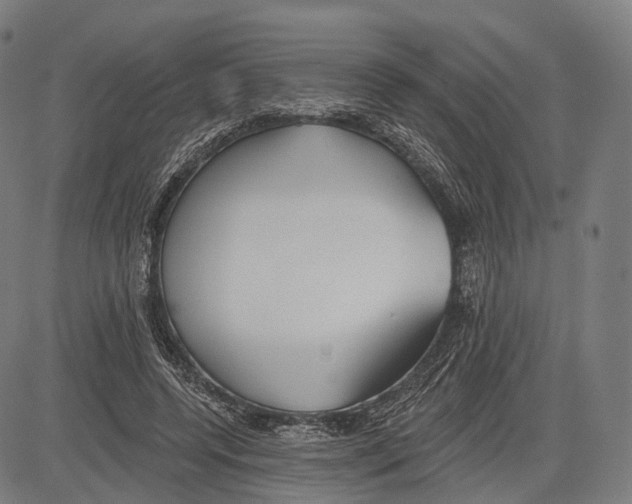 X0000083610544200703121605