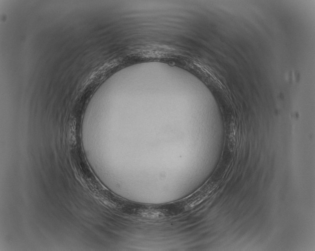 X0000083610547200703121605