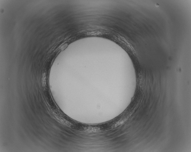 X0000083610549200703121605