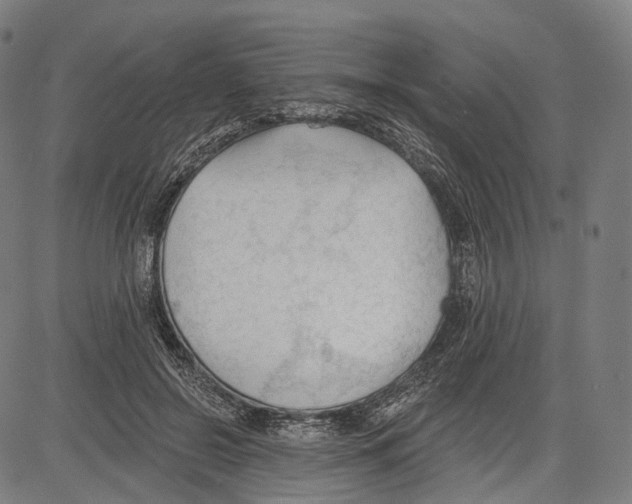 X0000083610550200703121605