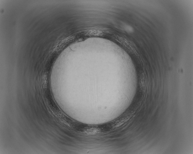 X0000083610551200703121605