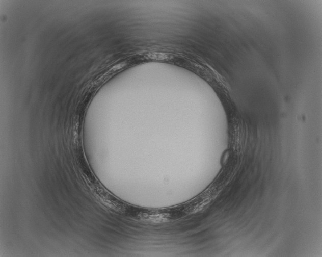 X0000083610553200703121605