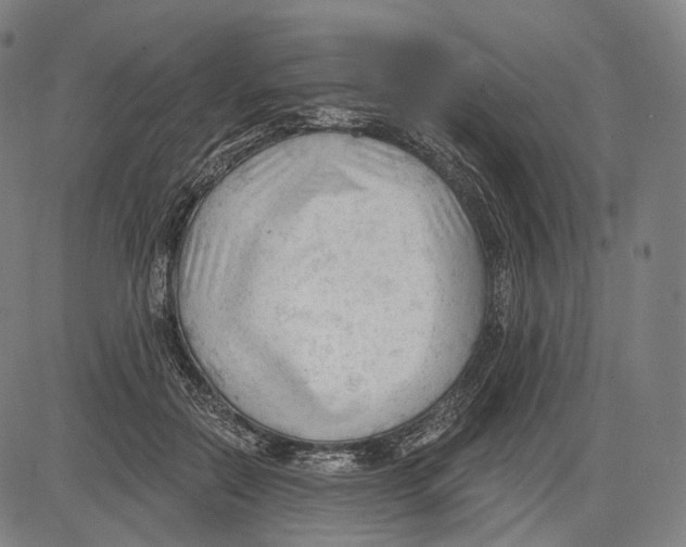 X0000083610554200703121605