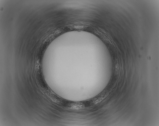 X0000083610555200703121605