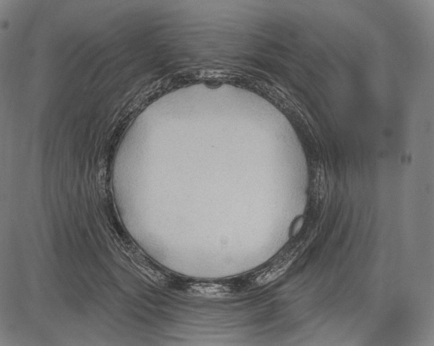 X0000083610557200703121605