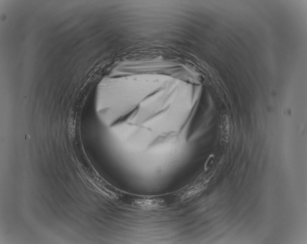 X0000083610558200703121605