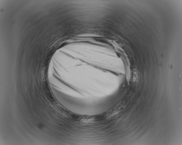 X0000083610560200703121605