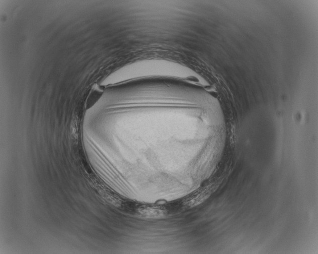 X0000083610561200703121605