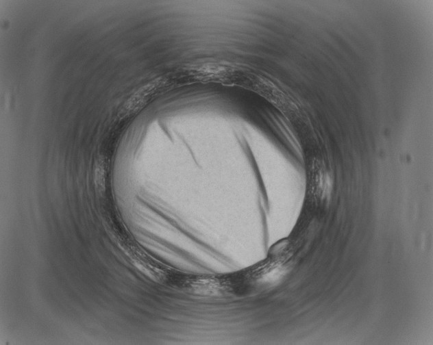 X0000083610562200703121605