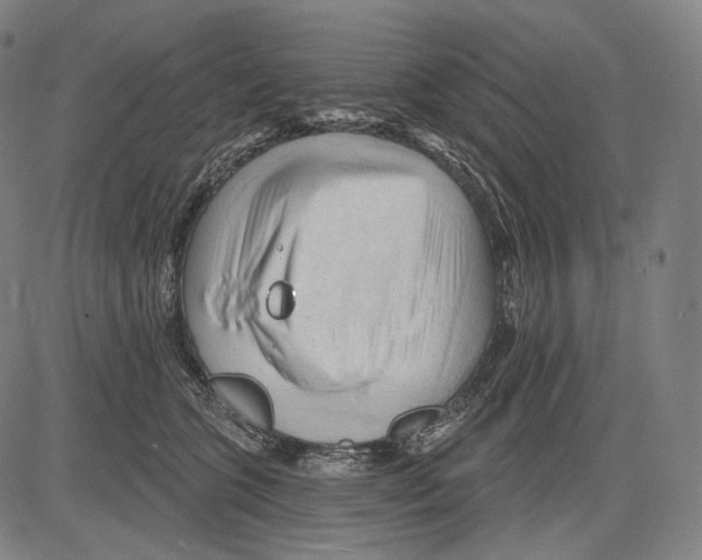 X0000083610563200703121605