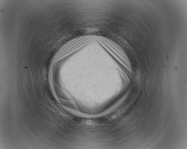 X0000083610565200703121605