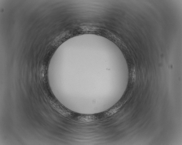 X0000083610567200703121605