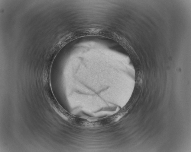 X0000083610568200703121605