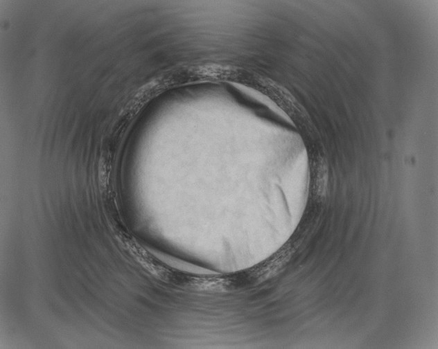 X0000083610569200703121605