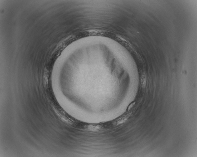 X0000083610570200703121605