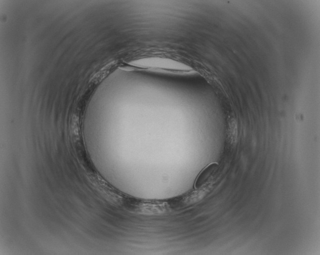 X0000083610571200703121606