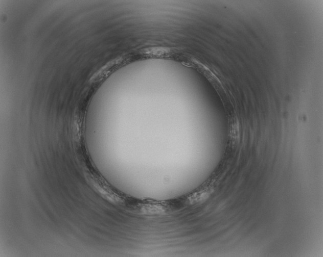 X0000083610572200703121606