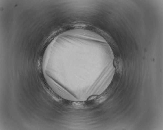 X0000083610573200703121606