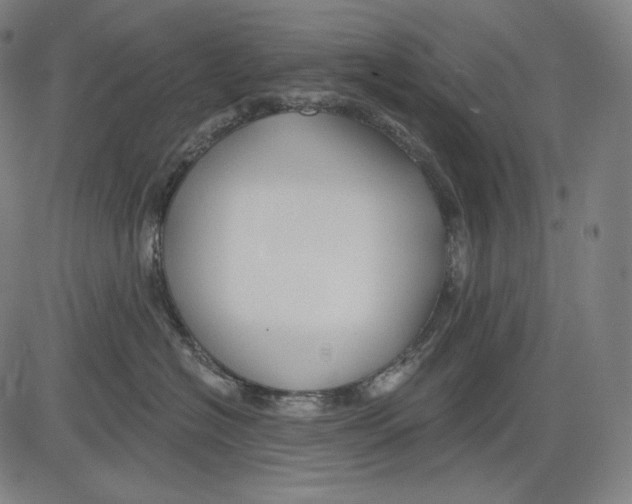 X0000083610574200703121606