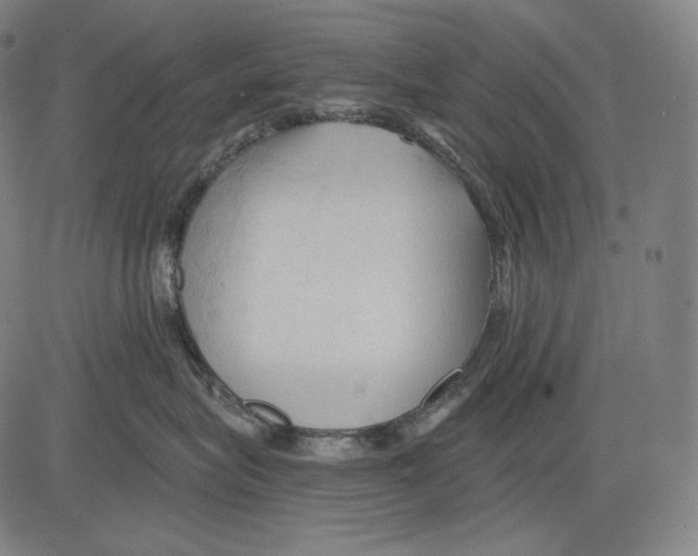 X0000083610575200703121606