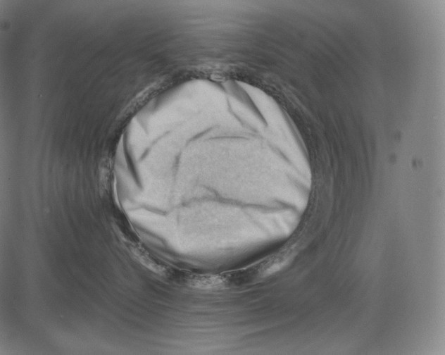 X0000083610576200703121606