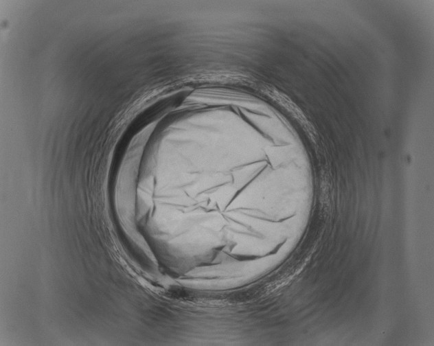 X0000083610577200703121605