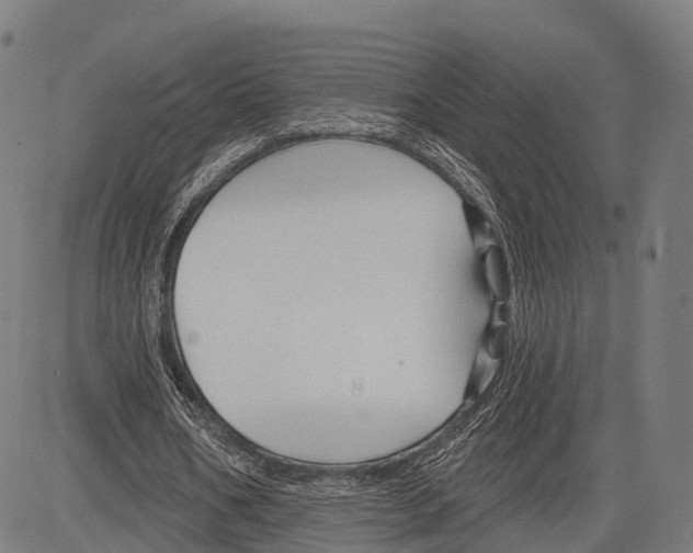 X0000083610578200703121605