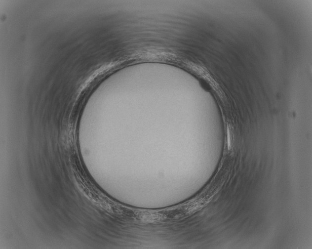 X0000083610579200703121605