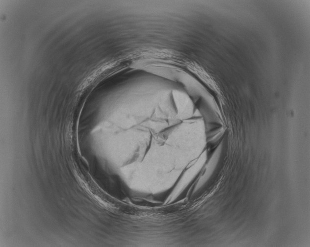 X0000083610581200703121605