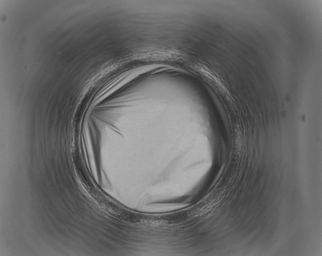 X0000083610582200703121605