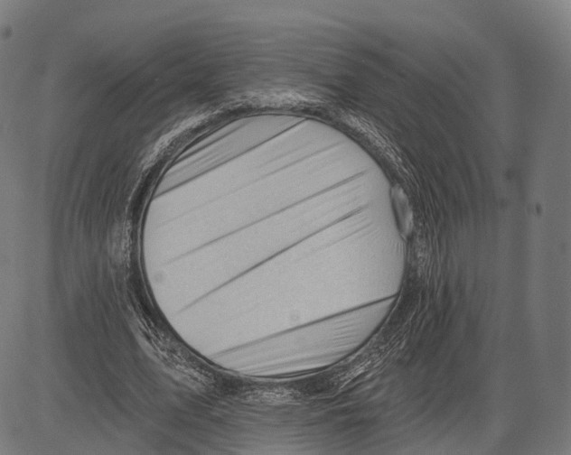 X0000083610583200703121605