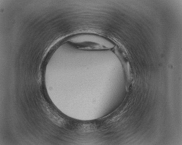 X0000083610584200703121605