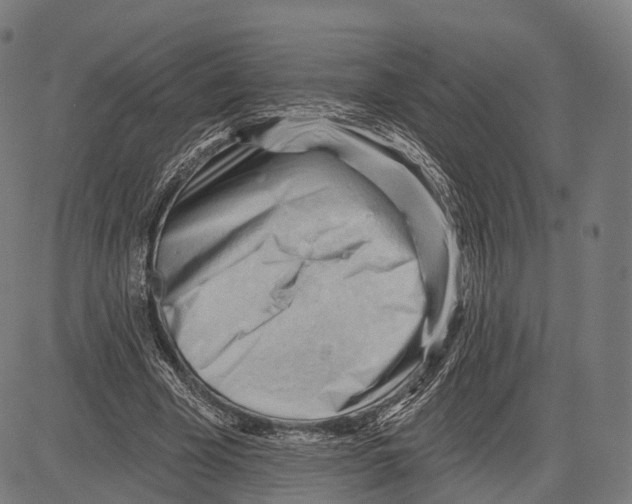 X0000083610585200703121605