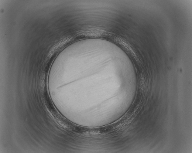 X0000083610586200703121605