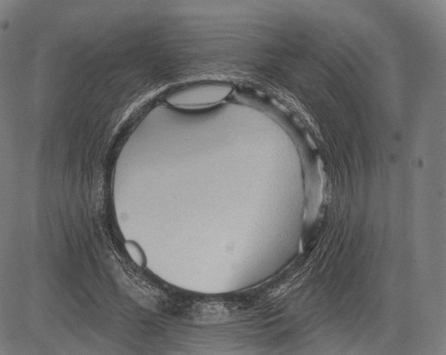 X0000083610588200703121605