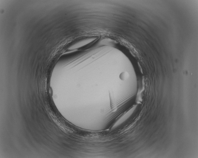 X0000083610589200703121605