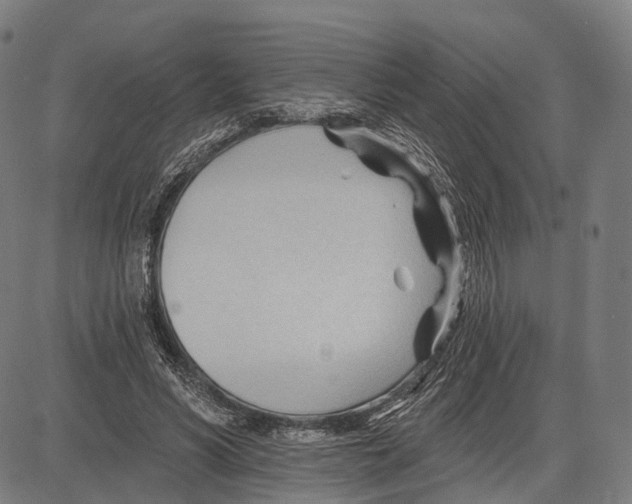 X0000083610590200703121605