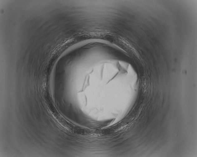 X0000083610593200703121605