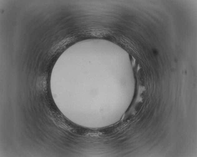 X0000083610595200703121604