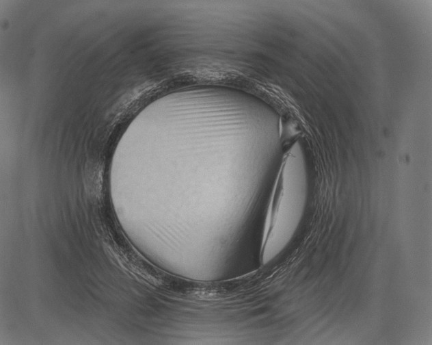 X0000083610596200703121604