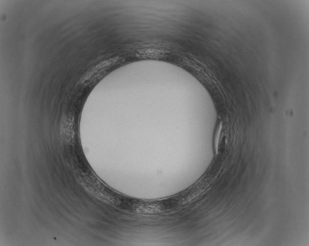 X0000083610599200703121604