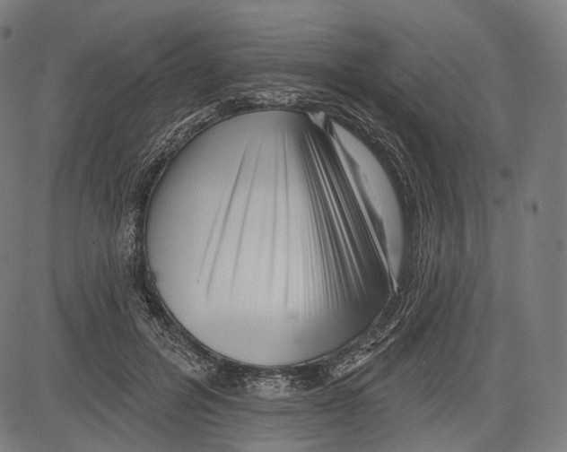 X0000083610600200703121604