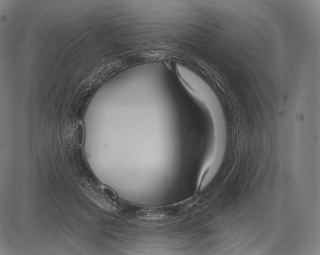 X0000083610601200703121604