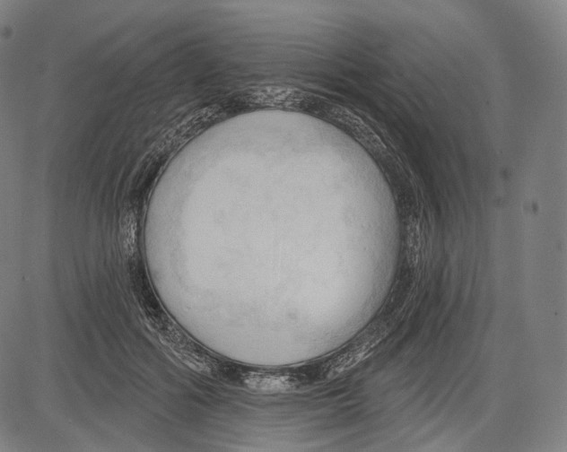 X0000083610602200703121604