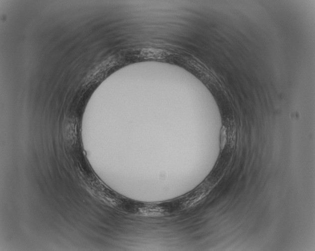 X0000083610603200703121604